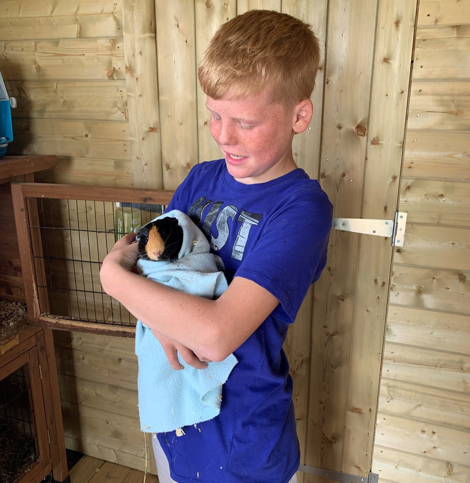 A boy in a blue tshirt holding a guinea pig